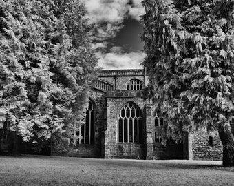 Black and White Landscape | Giclée Print | Fine Art | Trees | Dark Sky | Church | Gothic  | Wall Decor