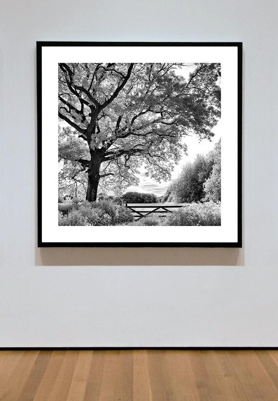Black and White Landscape Giclée Print Fine Art Moors Etsy