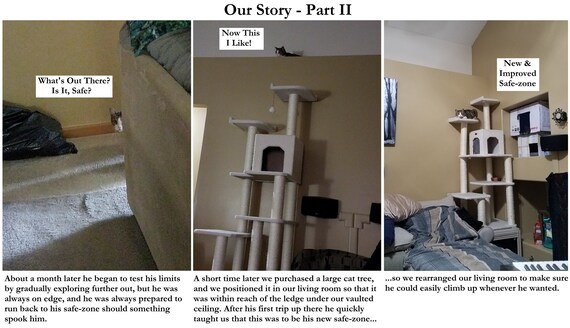 Cat Perch Cat Shelve Cat Shelf Cat Steps Modern Cat Furniture Cat Tree Cat Bridge Modern Cat Bed Cave Cat House Cat Cave Cat Decor