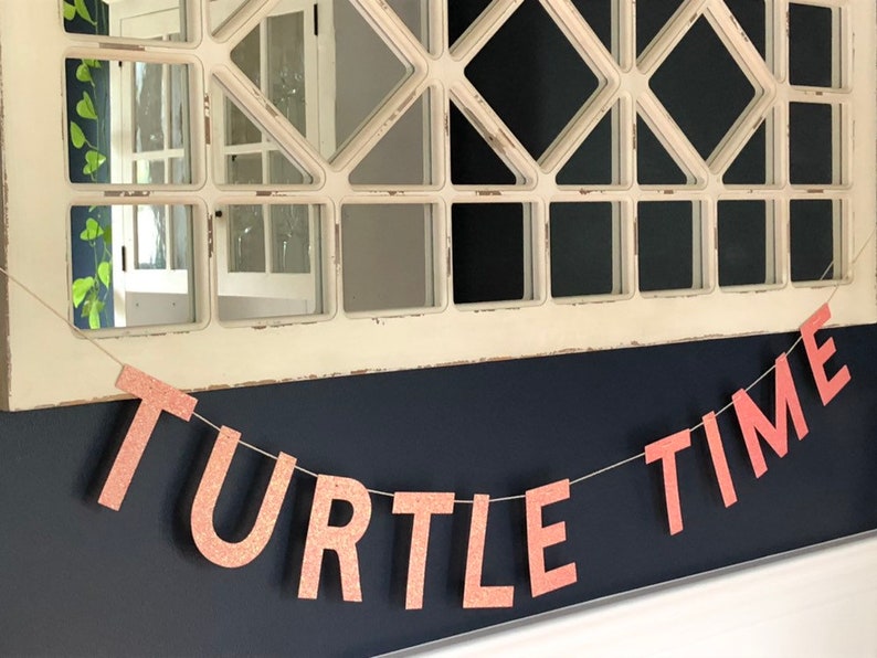 Turtle Time Banner