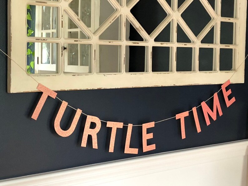 Turtle Time Banner