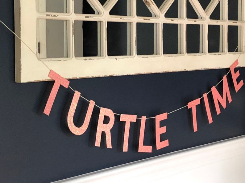 Turtle Time Banner