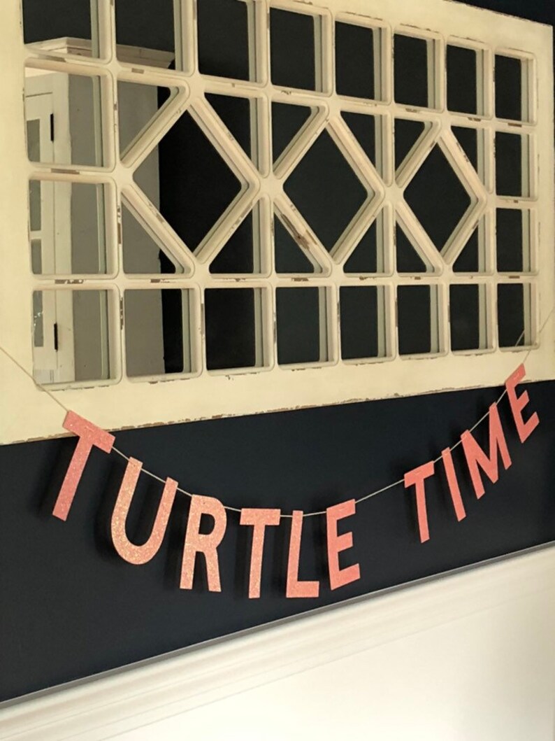 Turtle Time Banner
