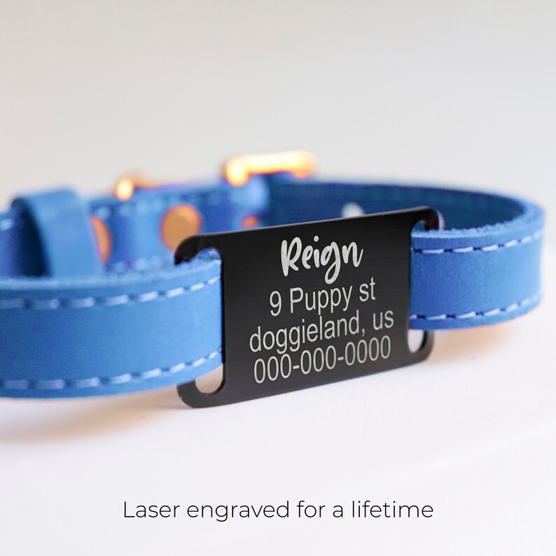 Personalized Slide on Pet ID Tag for Dog Collars Custom Etsy