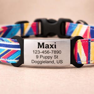 Custom Slide-On Dog ID Tag: Silent Engraved Stainless Steel Pet Tag