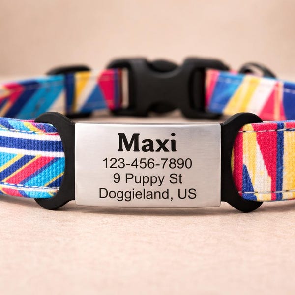 Custom Slide-On Dog ID Tag: Silent Engraved Stainless Steel Pet Tag