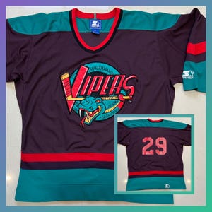 May include: A purple hockey jersey with teal and red accents. The jersey features the word "Vipers" in red and yellow with a snake logo. The jersey also has the number 29 on the back.