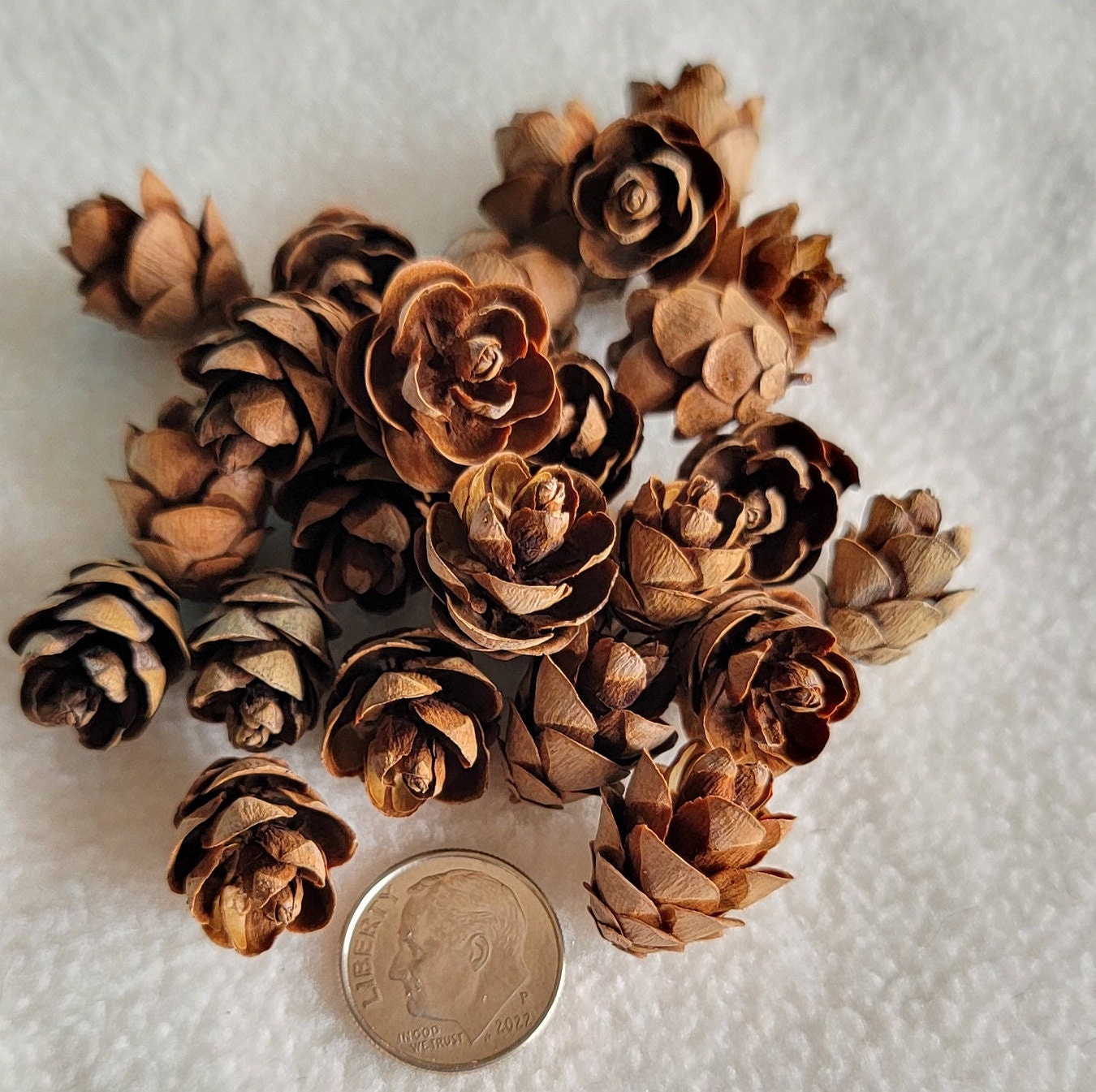 CHOICE Vintage Christmas Floral Picks: Foil Spray W/ Tiny Pine Cones, Red  Spun Cotton Berries, Glitter, MIJ, 1950s 