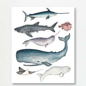 海の生き物のイラストプリント | クジラ イッカク 海の水彩画 | 手描きの壁飾りギフトアイデア | 気まぐれな海のガッシュペイント