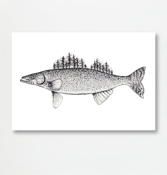 Outdoorsy Walleye Sketch-print of Original Illustration Nature Surrealism  Artwork Fish Pen Ink Drawing Woods Forest Sketch Gift Idea -  Canada