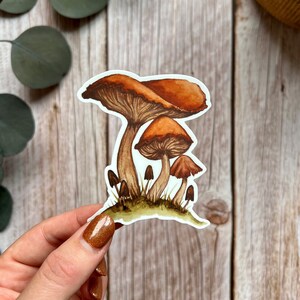 May include: A sticker featuring a watercolor illustration of three mushrooms with brown caps and stems. The mushrooms are growing in a patch of green grass.