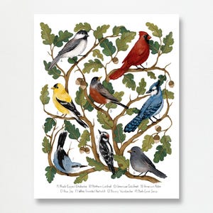 Illustrazione di una quercia con uccelli da cortile / Stampa artistica da parete con natura / Dipinto popolare con guazzo colorato
