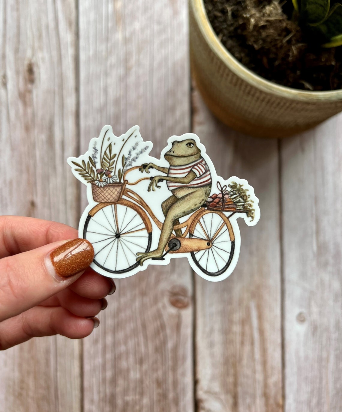frog bike paint plasters