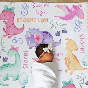 Pink dinosaur blanket shop