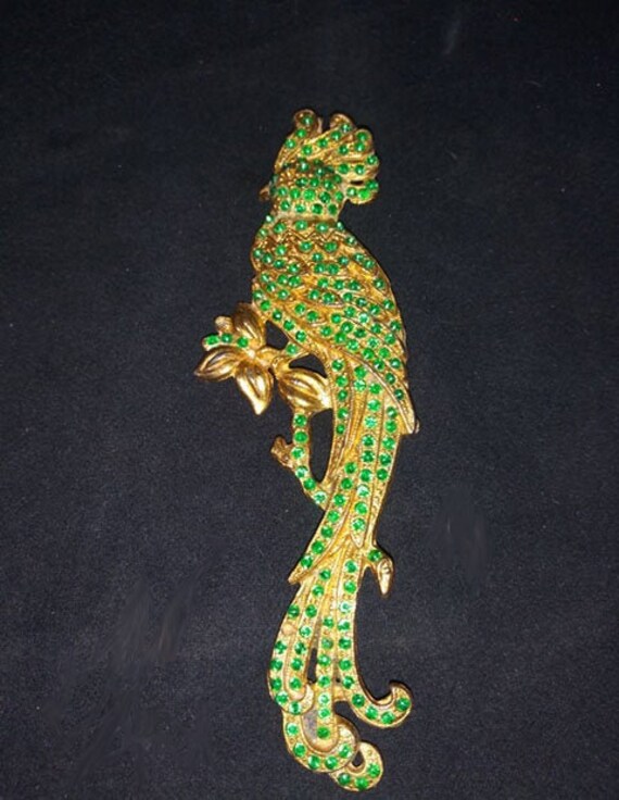 Parrot Brooch