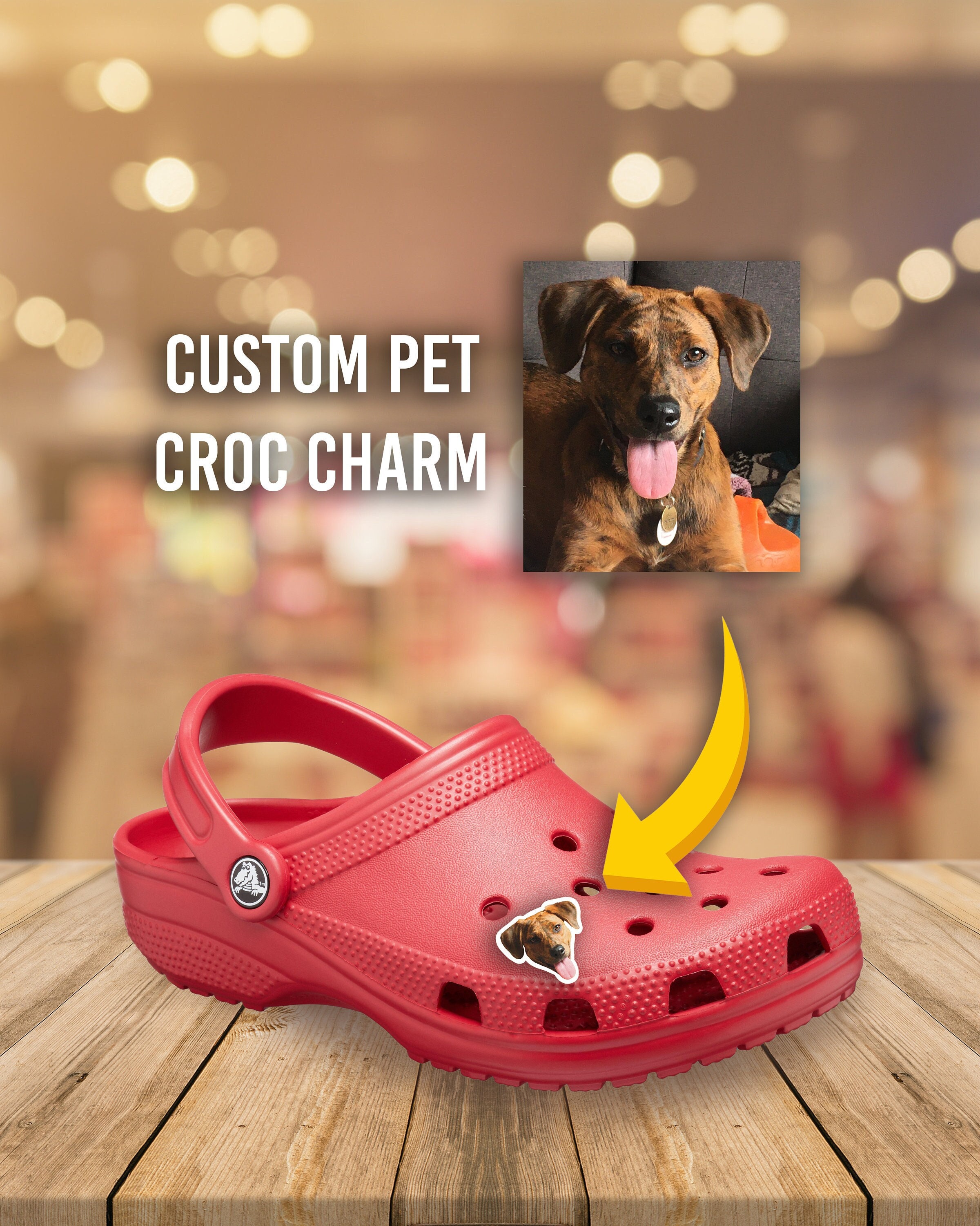 Custom Portrait/Picture Croc Charms