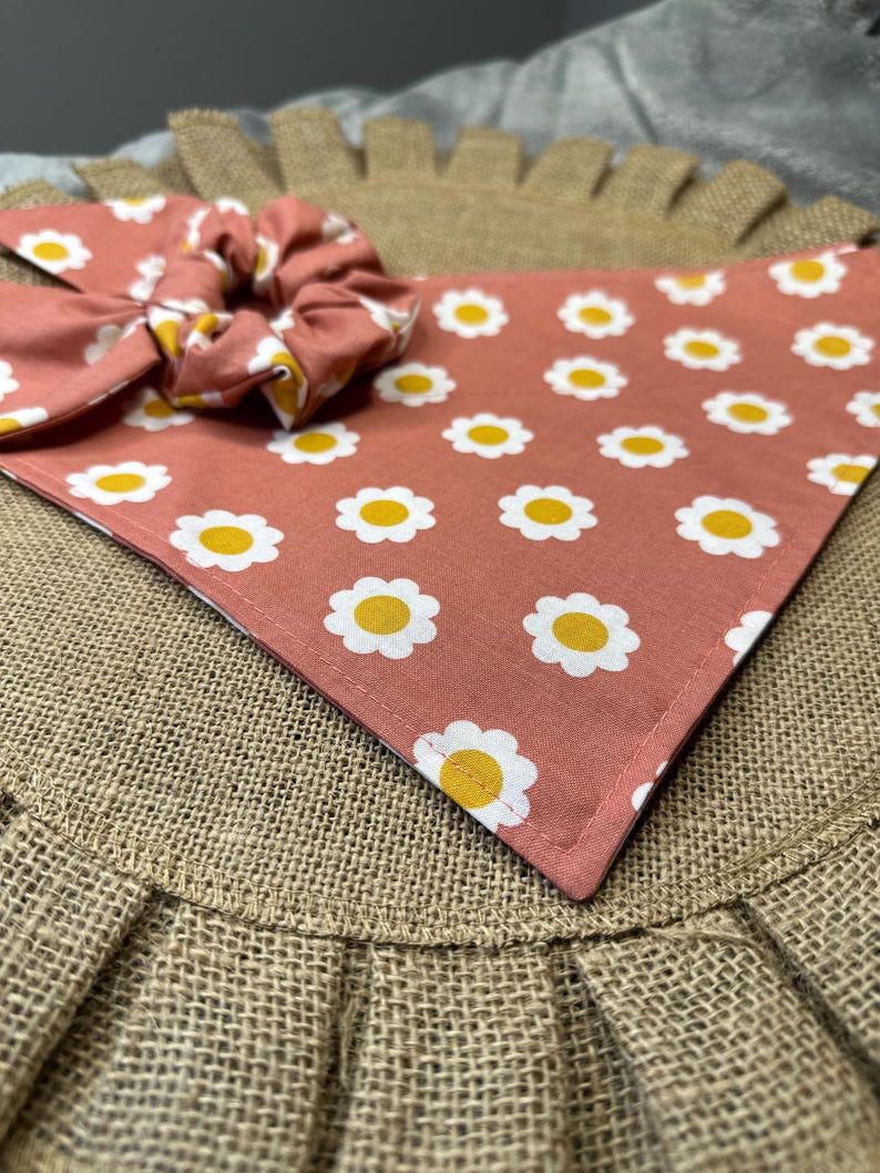 May include: A pink bandana with a white daisy pattern and yellow centers. The bandana is folded into a triangle shape and has a scrunchie on top.