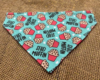 Valentine Dog Bandana/ Valentine Cat Bandana/Over the Collar Bandana/ Tie On Bandana/Fun Valentine Bandana/