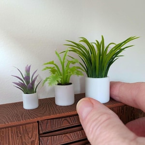 1:12th Scale Dollhouse Miniatures. A Set of Three Plants in White Round PLA Pots.