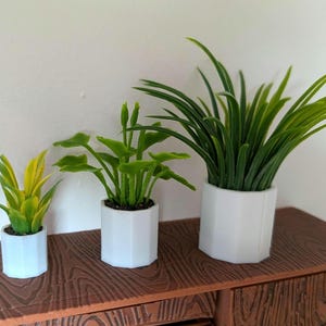 1:12th Scale Dollhouse Miniatures. A Set of Three Plants in White Hexagonal PLA Pots.