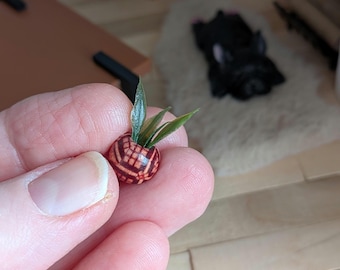 1:12th Scale Dollhouse Miniature. Tiny Green Pineapple Plant in a Wooden Bead.