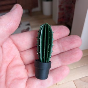 Miniatura per casa delle bambole in scala 1:12. Cactus di mela peruviano in vaso nero.