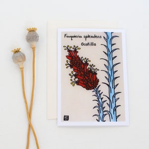 Desert Botanical Cards, greeting, invitation, 5x7, blank inside, card stock