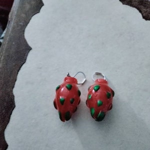 Dragon fruit earrings