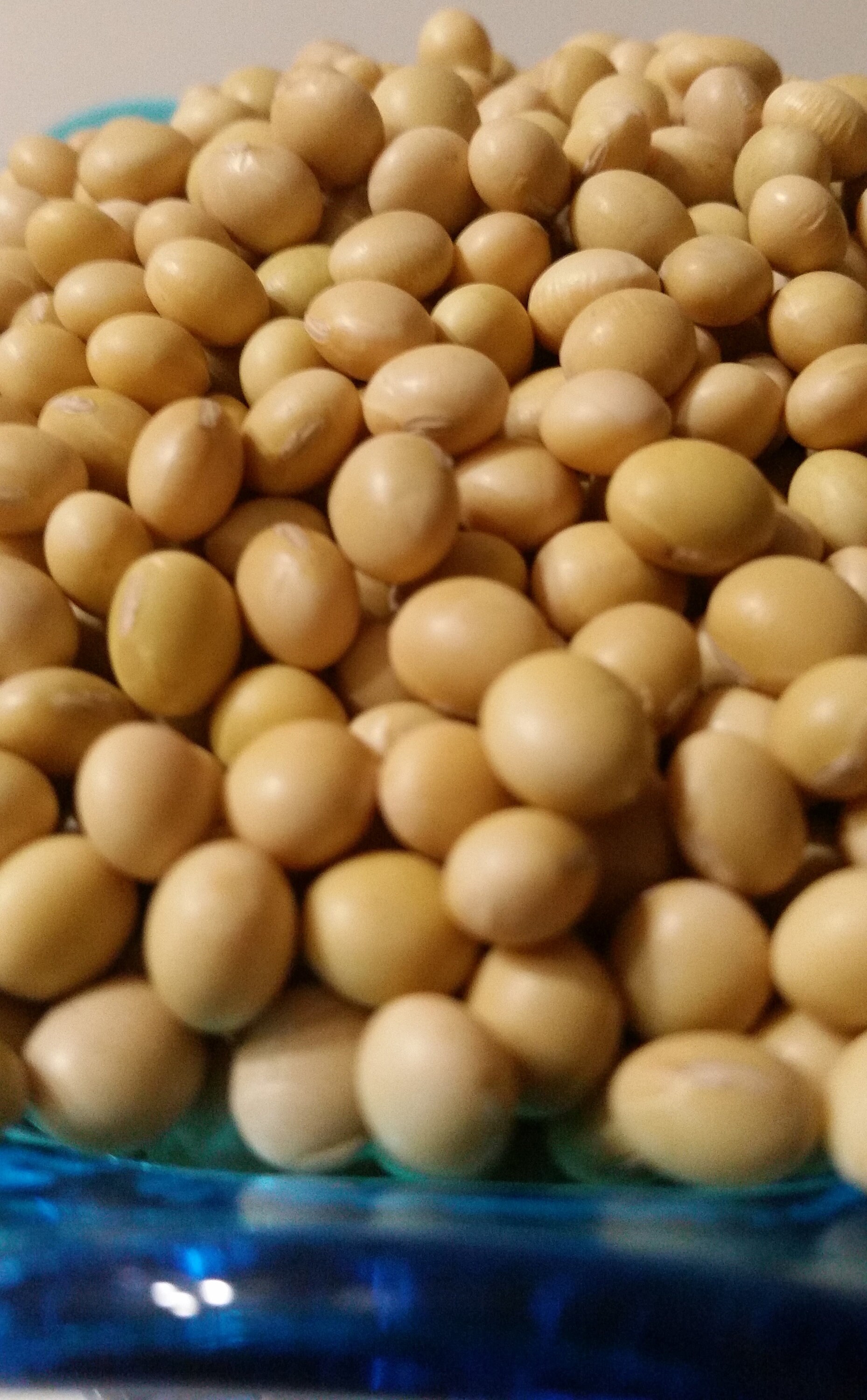 Organic Raw SoybeansCertified Etsy