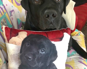 Custom Pillow Picture, Personalized Gifts Pet Pillow, Custom Dog Pillowcase, Custom Photo Pillow Cases, Unique Gifts Custom Cushion