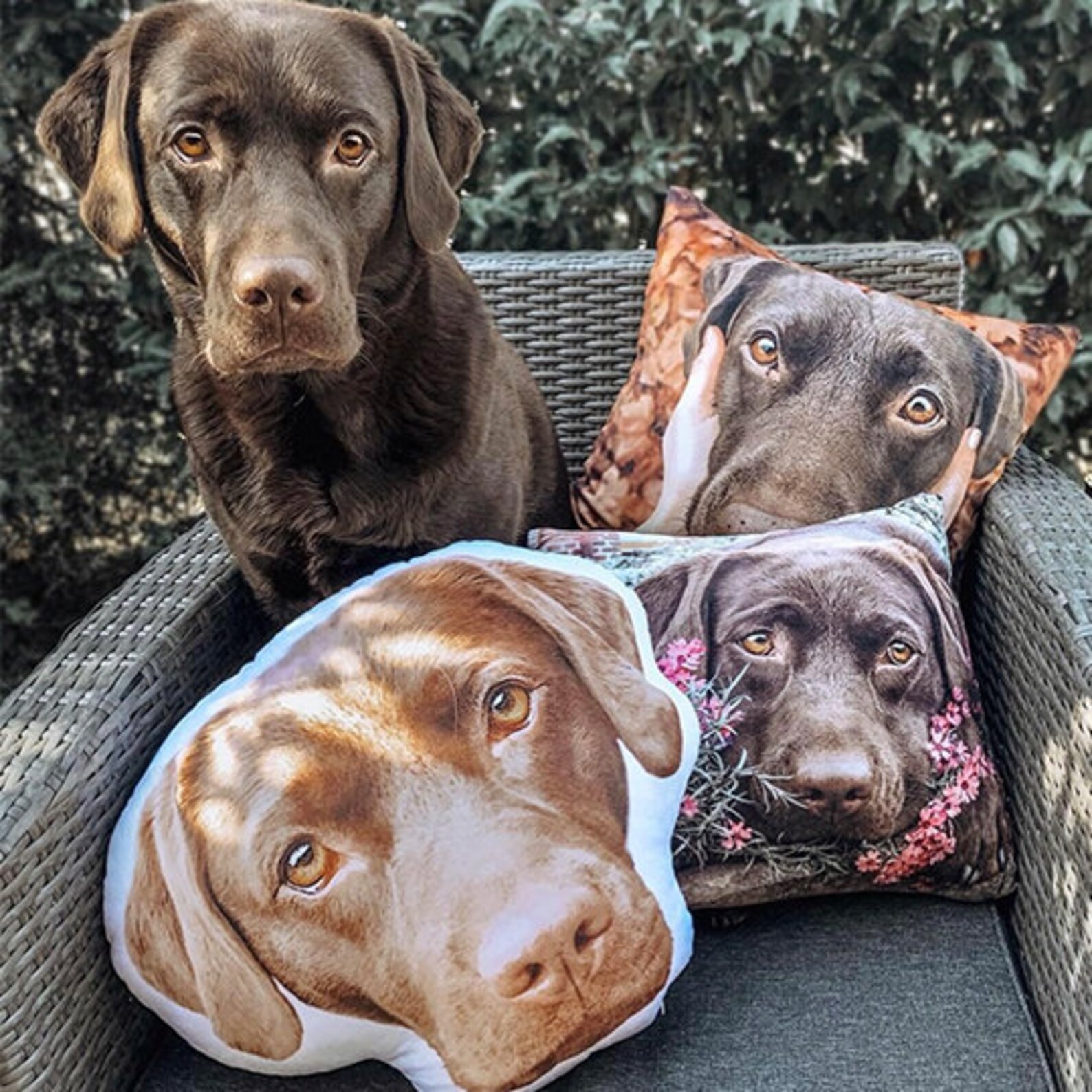 Custom Dog Face Pillow Custom Shaped Pillow Photo Pillow - Etsy