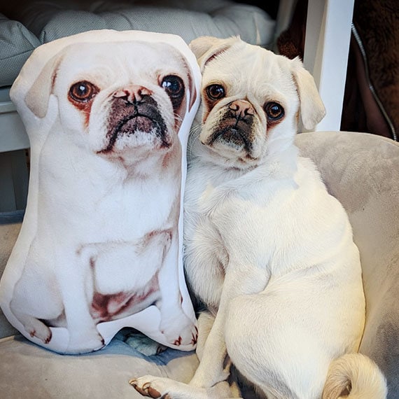 Custom Pet Photo Pillow Custom Shaped Pillow Custom Dog Shaped Cushion Dog Pillow Unique Gift for Dog Lover Housewarming Home Decor Etsy Canada