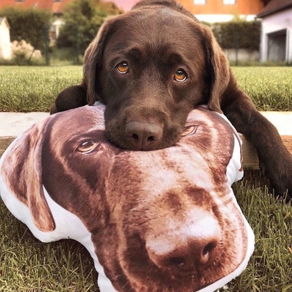 Custom Photo Pillowcase, Custom Pet Face Shaped Pillow, Personalized Dog Face Shaped Pillow, Custom Shaped Pillow