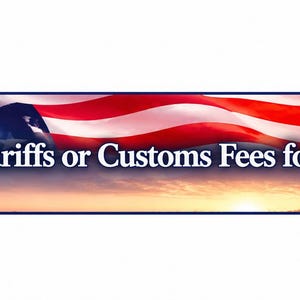 May include: A banner featuring the American flag, a cardboard box with an American flag sticker, and the Statue of Liberty. The text reads "No Extra Tariffs or Customs Fees for US Customers". The background shows a sunset over a city skyline.