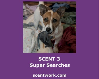 Canine Scentwork - DVD Scent 3: Super Searches