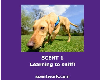 Canine Scentwork - DVD Scent 1: Learning to sniff!