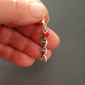 May include: Silver DNA helix earring with a red crystal at the top.