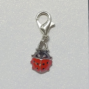 May include: A silver charm featuring a red and black ladybug design. The charm has a lobster claw clasp.