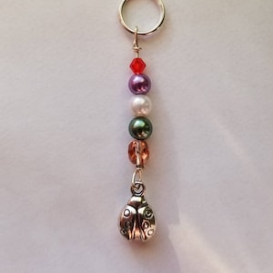 May include: A silver ladybug charm keychain with a red, purple, white, green, and orange bead charm.
