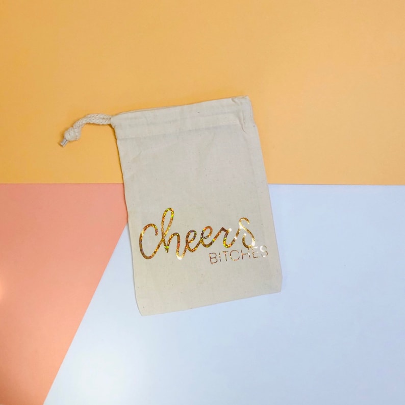 Cheers bitches Gift bag Hen do Hen party bag Hen do Etsy