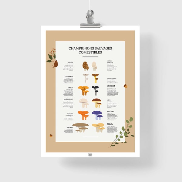 Affiche champignons comestibles sauvages : 12 variétés facile à identifier