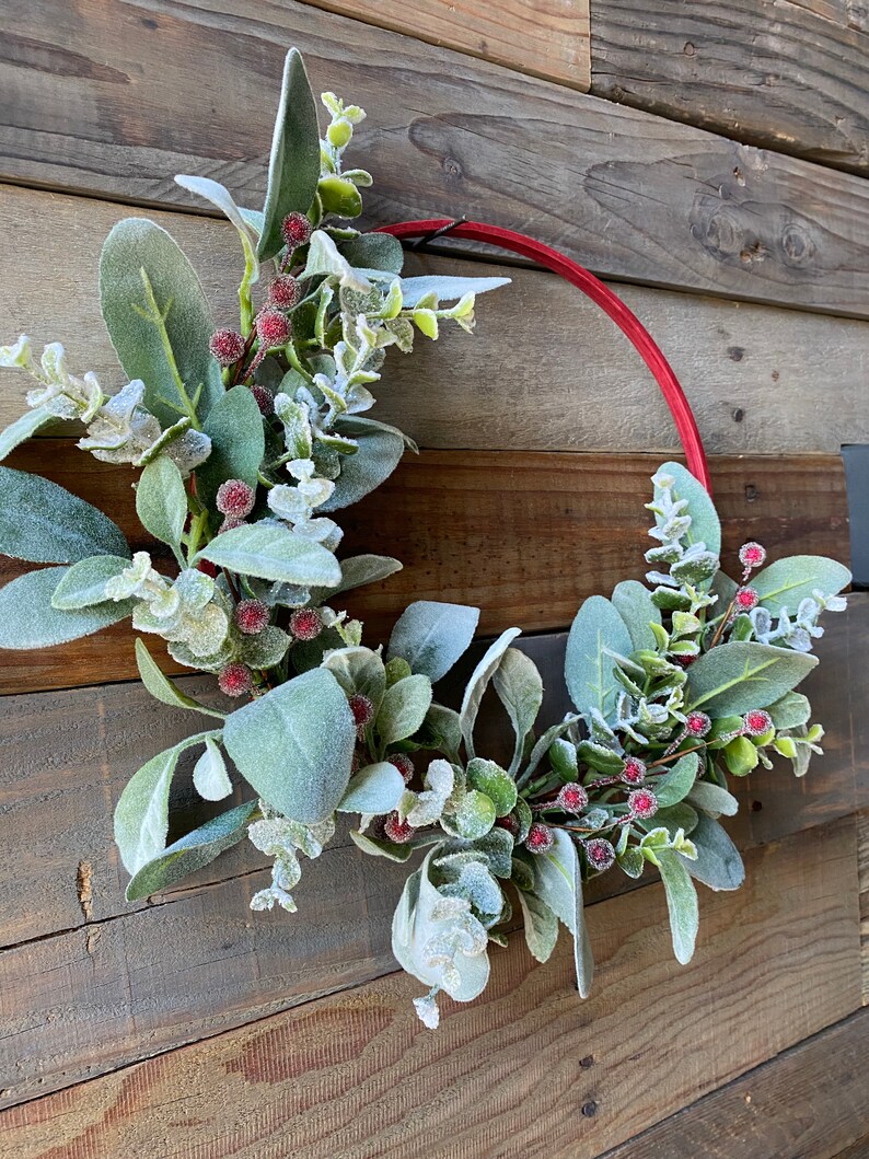 May include: A red wreath with frosted eucalyptus leaves and red berries. The wreath is hanging on a wooden wall.