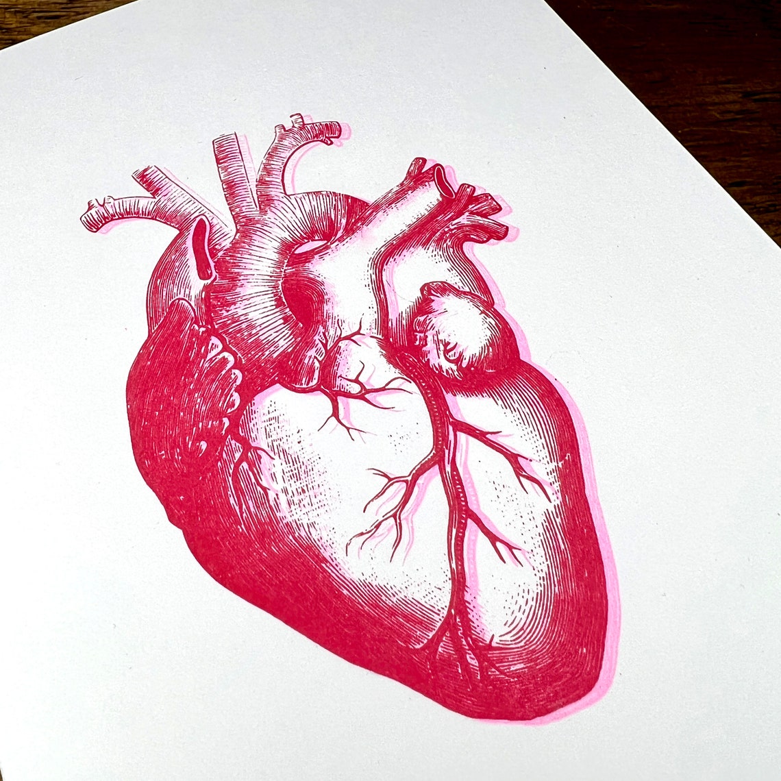 Anatomical Heart Valentine's Day Card Anniversary Etsy