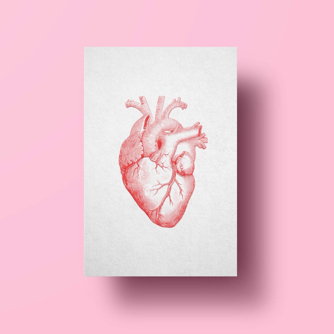Anatomical Heart, Valentine's Day Card, Anniversary, Engagement