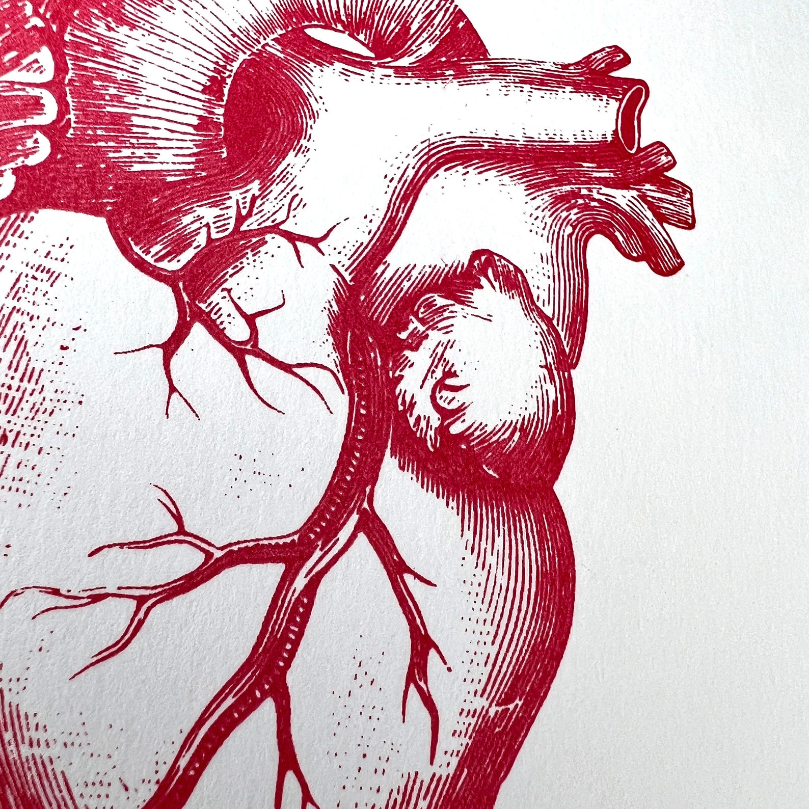 Anatomical Heart Valentine's Day Card Anniversary Etsy