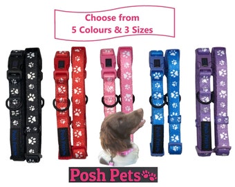 Nylon Dog Collar | Neoprene Padded Dog Collar | Adjustable Paw Print Dog Collar | Small Medium Large Dogs Collar | Posh Pets Padded Collar