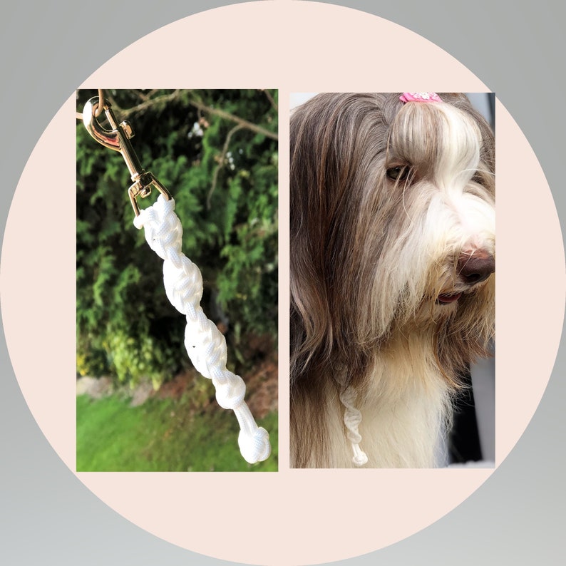 Coloured Dog Grab Tag Dog Training Tab Dog Etsy