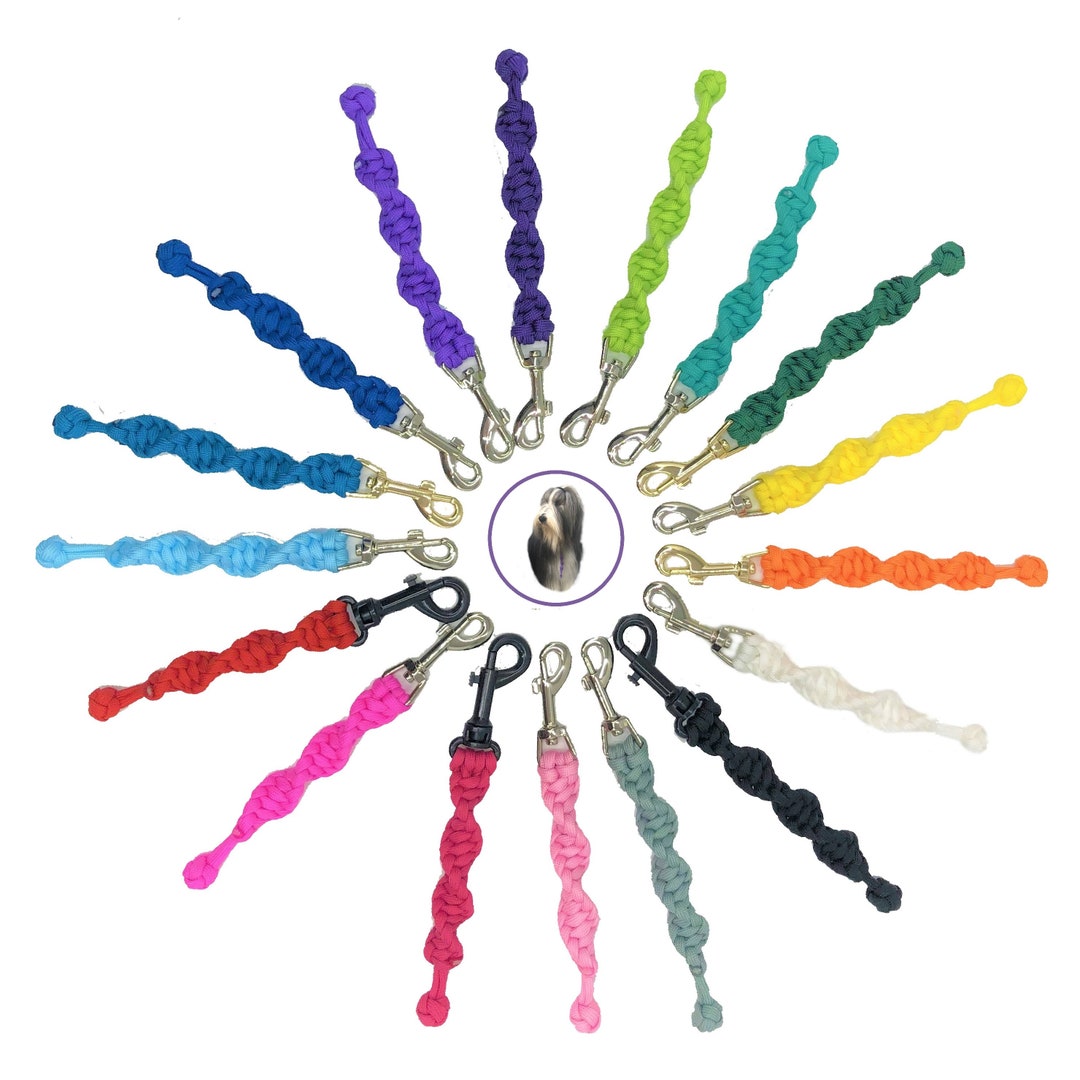 Coloured Dog Grab Tag, Dog Training Tab, Dog Obedience Tab, Agility