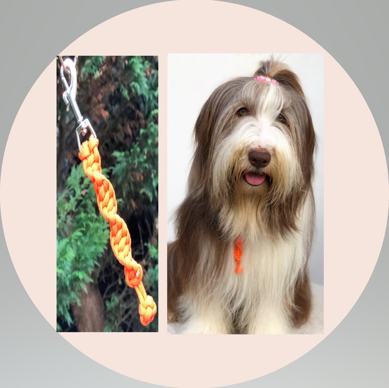Coloured Dog grab Tag Dog Training Tab Dog Etsy