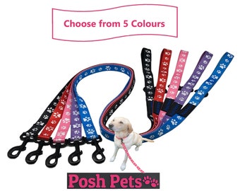 Nylon Dog Lead | Paw Print Dog Lead | Dog Lead with Neoprene Padded Handle | Medium to Large Dogs Lead | Posh Pets Padded Handle Lead